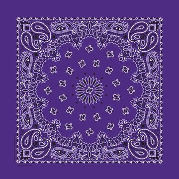 NT4406 Bandana Paisley Purple