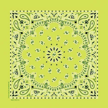 NT4410 Bandana Paisley Lime