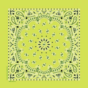 NT4410 Bandana Paisley Lime