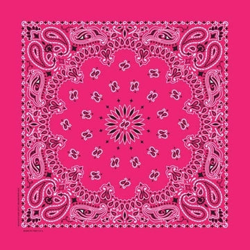 NT4413 Bandana Paisley Hot Pink