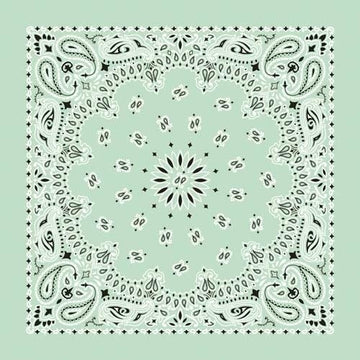 NT4414 Bandana Paisley Mint