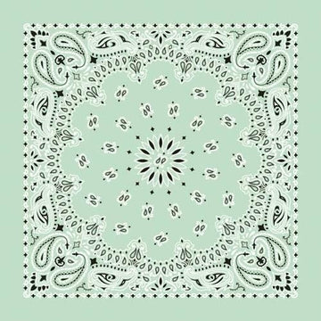 NT4414 Bandana Paisley Mint