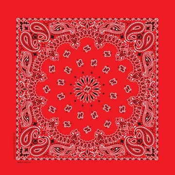 BD2500 Bandana Paisley Red