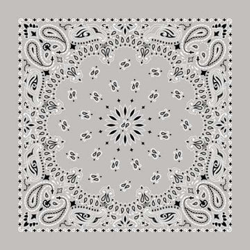 BD2502 Bandana Paisley Silver