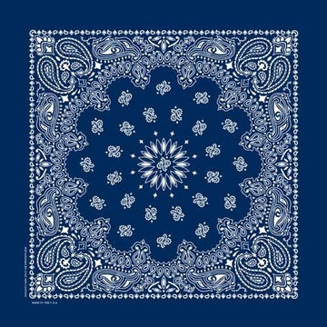 NT4402 Bandana Paisley Navy