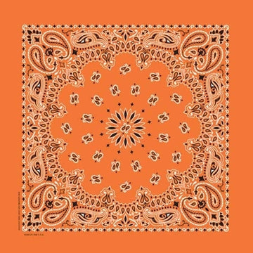 NT4404 Bandana Paisley Orange