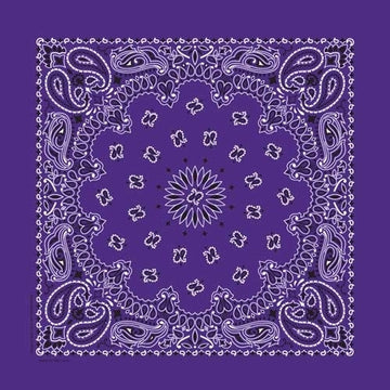 NT4406 Bandana Paisley Purple