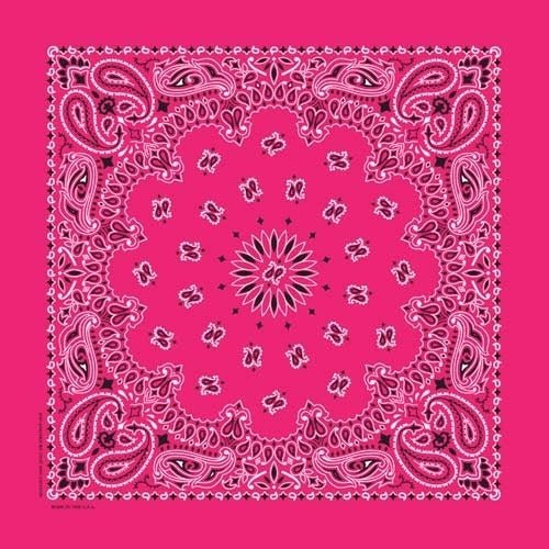 NT4413 Bandana Paisley Hot Pink