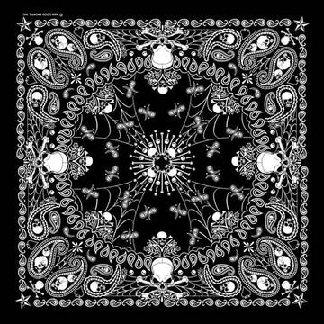 BD2514 Bandana Paisley GS Skeletal